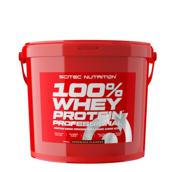 Whey Protein Professional