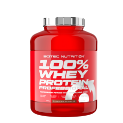 Whey Protein Professional